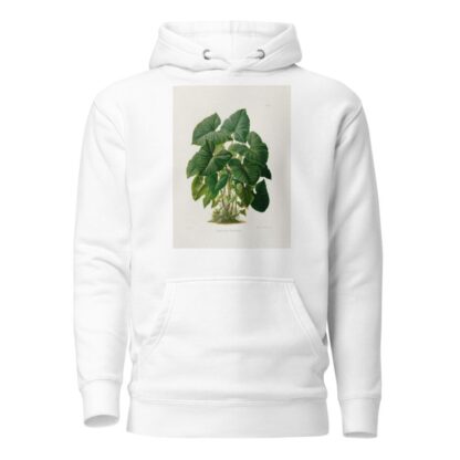 Aroideae Maximilianae Pl.31 by Heinrich Wilhelm Schott Hoodie