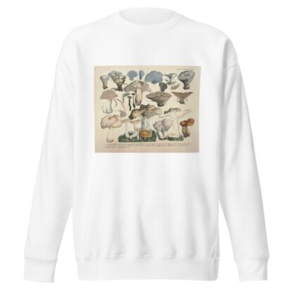 Naturgetreue Abblidungen und Beschreibungen der essbaren, schädlichen und verdächtigen Schwämme Pl.50 by J. V. Krombholz Sweatshirt