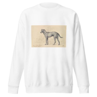 Feral Dog of St. Domingo by Charles Hamilton Smith Sweatshirt
