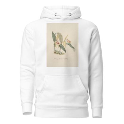 Collection d’orchidées Pl.69 by Anonymous Hoodie