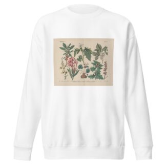 Lehrbuch der praktischen Pflanzenkunde in Wort und Bild Pl.20 by Carl Hoffmann Sweatshirt