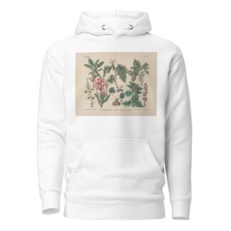 Lehrbuch der praktischen Pflanzenkunde in Wort und Bild Pl.20 by Carl Hoffmann Hoodie