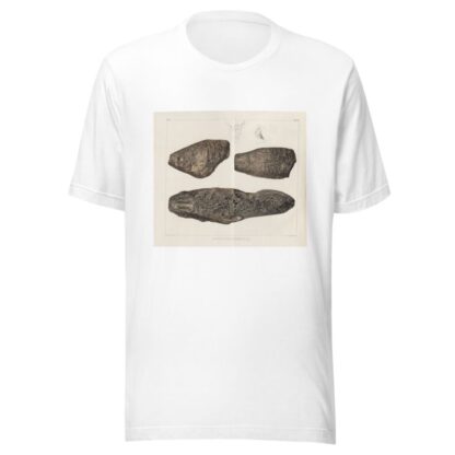 Recherches sur les poissons fossiles Pl.175 by Louis Agassiz T-Shirt