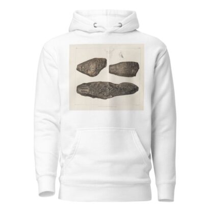 Recherches sur les poissons fossiles Pl.175 by Louis Agassiz Hoodie