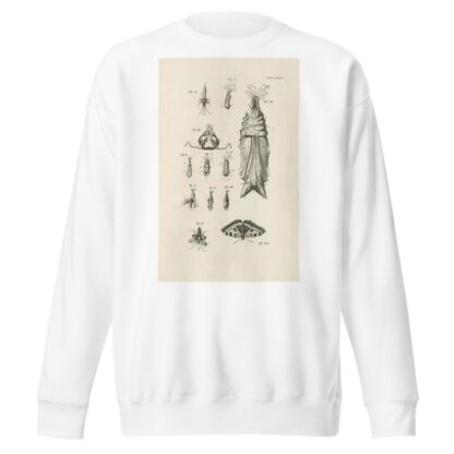 The book of nature, or, The history of insects Pl.35 by Jan Swammerdam Sweatshirt