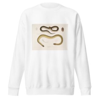 1. Penang Hypserina, Hypserina Hardwickii; 2. Hardwicke’s Short Sea Snake, Lapemis Hardwickii. by John Edward Gray Sweatshirt