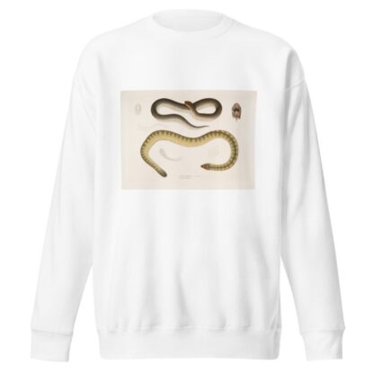 1. Penang Hypserina, Hypserina Hardwickii; 2. Hardwicke’s Short Sea Snake, Lapemis Hardwickii. by John Edward Gray Sweatshirt