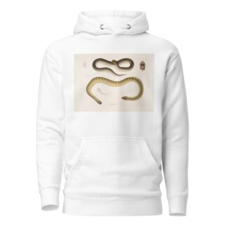1. Penang Hypserina, Hypserina Hardwickii; 2. Hardwicke’s Short Sea Snake, Lapemis Hardwickii. by John Edward Gray Hoodie