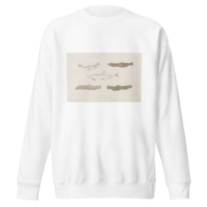 Recherches sur les poissons fossiles Pl.084 by Louis Agassiz Sweatshirt