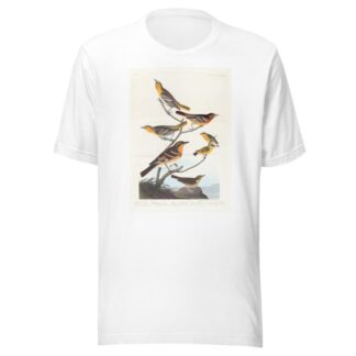 Bullock’s oriole. Baltimore oriole. Mexican goldfinch. Varied thrush. Common water thrush by John James Audubon T-Shirt