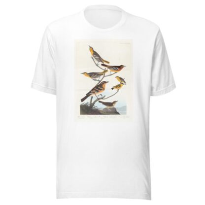 Bullock’s oriole. Baltimore oriole. Mexican goldfinch. Varied thrush. Common water thrush by John James Audubon T-Shirt