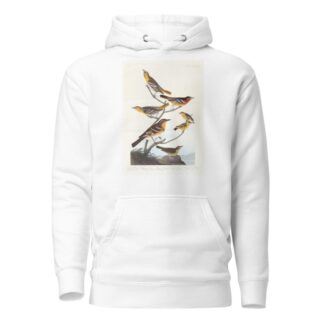 Bullock’s oriole. Baltimore oriole. Mexican goldfinch. Varied thrush. Common water thrush by John James Audubon Hoodie