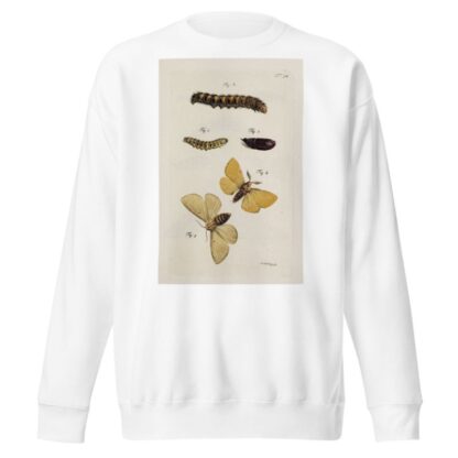 Archives de l’histoire des insectes Pl.36 by Johann Caspar Fuessli Sweatshirt