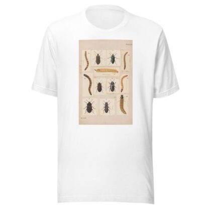 Original hand painted plate for New Zealand Beetles [Plate IX] by George Hudson T-Shirt