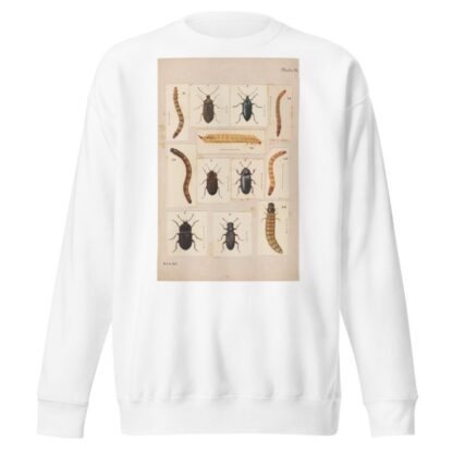 Original hand painted plate for New Zealand Beetles [Plate IX] by George Hudson Sweatshirt