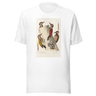 Monographie des picidées pl08 by Alfred Malherbe T-Shirt