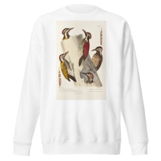 Monographie des picidées pl08 by Alfred Malherbe Sweatshirt