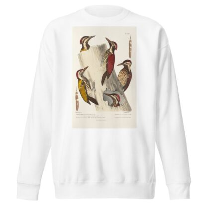 Monographie des picidées pl08 by Alfred Malherbe Sweatshirt