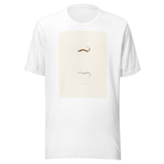 Salamandra erythronota by John Edwards Holbrook T-Shirt