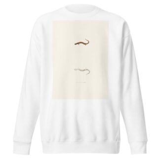 Salamandra erythronota by John Edwards Holbrook Sweatshirt
