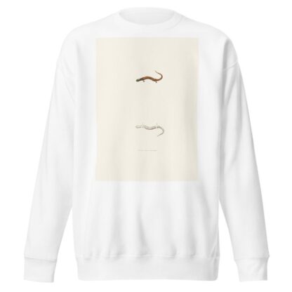 Salamandra erythronota by John Edwards Holbrook Sweatshirt