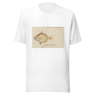 Platystethus abbrevatus by Frank Edward Clarke T-Shirt