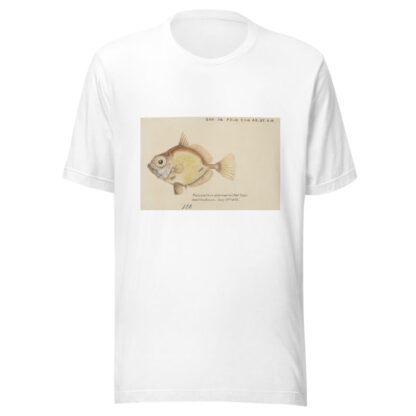 Platystethus abbrevatus by Frank Edward Clarke T-Shirt
