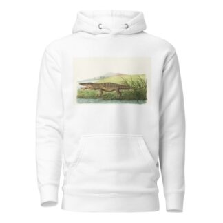 St Domingo Crocodile by George Shaw Hoodie