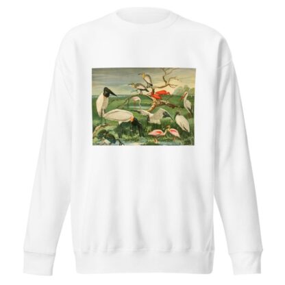 Cegonhas, Guarás, Colhereira by Emil August Göldi Sweatshirt