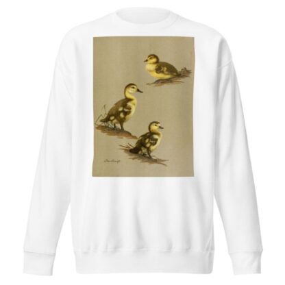 Downy Young Of Red-Head, Canvas-Back, Ring-Necked Duck by Allan Brooks Sweatshirt