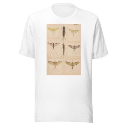 Original hand painted plate for New Zealand Neuroptera [Plate V] by George Hudson T-Shirt