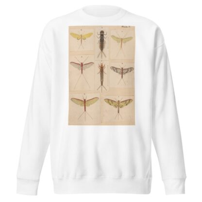 Original hand painted plate for New Zealand Neuroptera [Plate V] by George Hudson Sweatshirt
