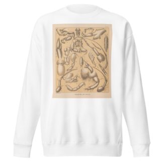 The cave fauna of North America Pl 04 by Alpheus Spring Packard Sweatshirt