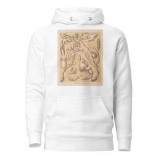 The cave fauna of North America Pl 04 by Alpheus Spring Packard Hoodie