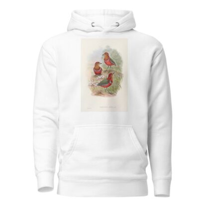 Monograph of the Pittidae Pl.09 by John Gould Hoodie
