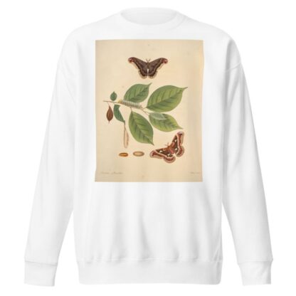 The natural history of the rarer lepidopterous insects of Georgia Pl.046 by James Edward Smith Sweatshirt