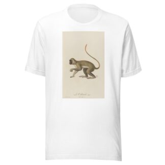 Le Callitriche by Jean-Baptiste Audebert T-Shirt