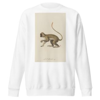 Le Callitriche by Jean-Baptiste Audebert Sweatshirt