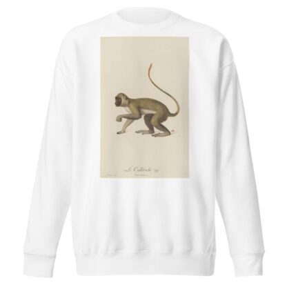 Le Callitriche by Jean-Baptiste Audebert Sweatshirt