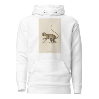 Le Callitriche by Jean-Baptiste Audebert Hoodie