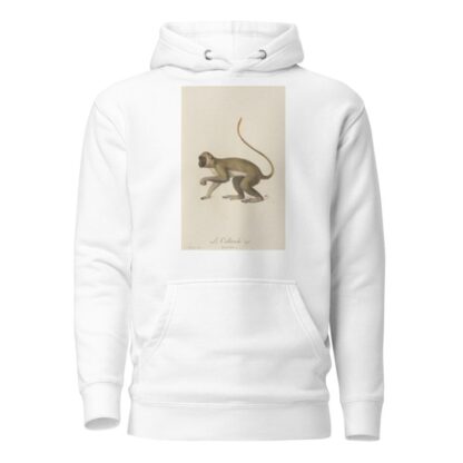 Le Callitriche by Jean-Baptiste Audebert Hoodie