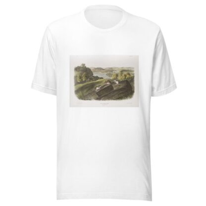 Mus leucopus, White-footed Mouse. Natural size. Male, female and young. by John Woodhouse Audubon T-Shirt
