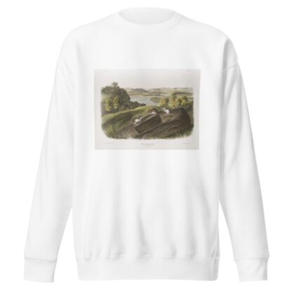 Mus leucopus, White-footed Mouse. Natural size. Male, female and young. by John Woodhouse Audubon Sweatshirt
