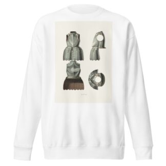Laty by Fedor Grigoryevich Solntsev Sweatshirt