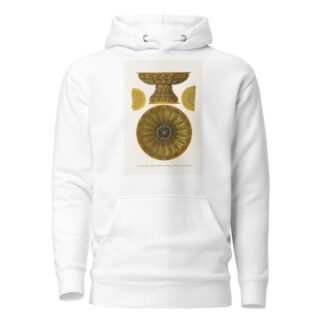 Lokhan’, k rukomoiniku tsaritsy Natalii Kirilovny by Fedor Grigoryevich Solntsev Hoodie