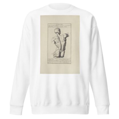 Anatomy improv’d and illustrated with regard to the uses thereof in designing Pl.12 by Michael van der Gucht Sweatshirt