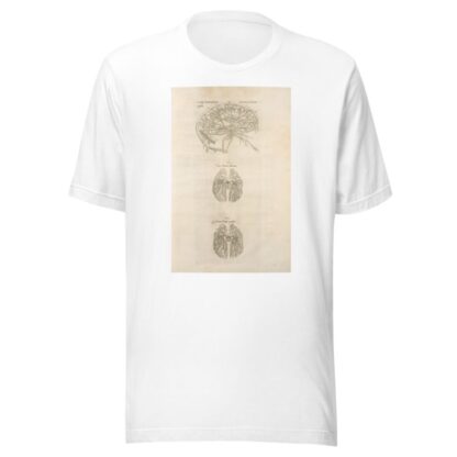 Sixta fig; Venarum panter acarterum Carebri senem explicat – Ven & arterialis delineatio – Arteria venalis processvs by Thomas Geminus T-Shirt