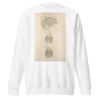 Sixta fig; Venarum panter acarterum Carebri senem explicat – Ven & arterialis delineatio – Arteria venalis processvs by Thomas Geminus Sweatshirt