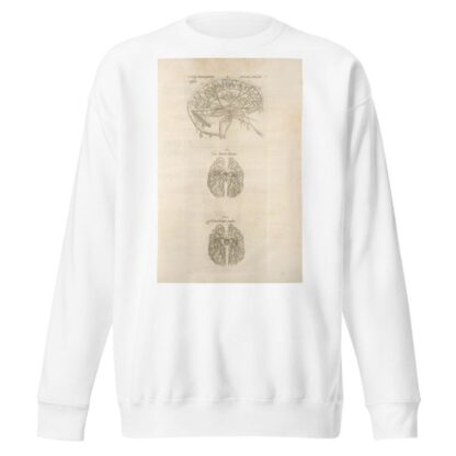 Sixta fig; Venarum panter acarterum Carebri senem explicat – Ven & arterialis delineatio – Arteria venalis processvs by Thomas Geminus Sweatshirt