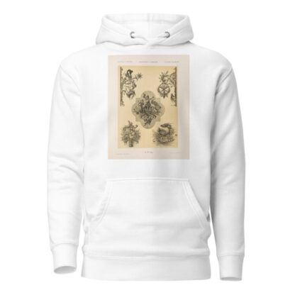 Allegorien und Embleme Vol. II Pl.166 by Albert Ilg Hoodie